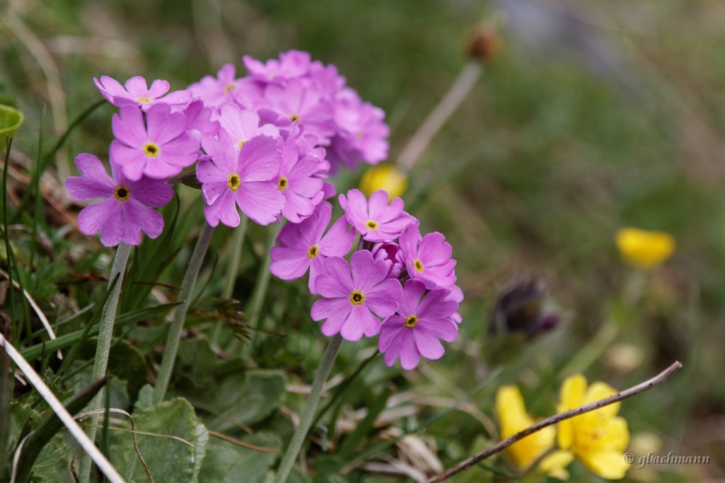 20140531_195
